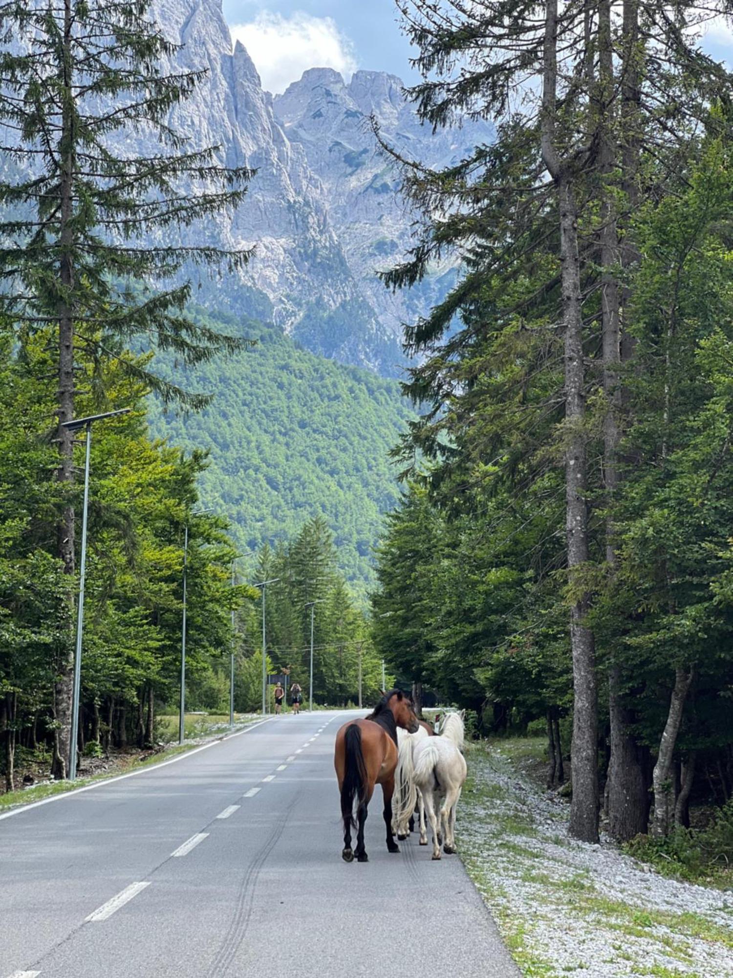 Krojet E Rrogamit Valbone Bagian luar foto